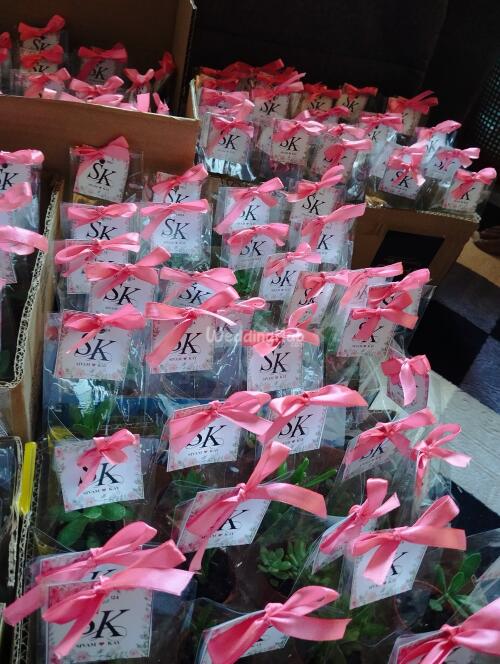 Doorgift Kaktus & Sukulen