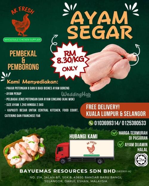 Pembekal Ayam Halal Segar Direct Dari Kilang